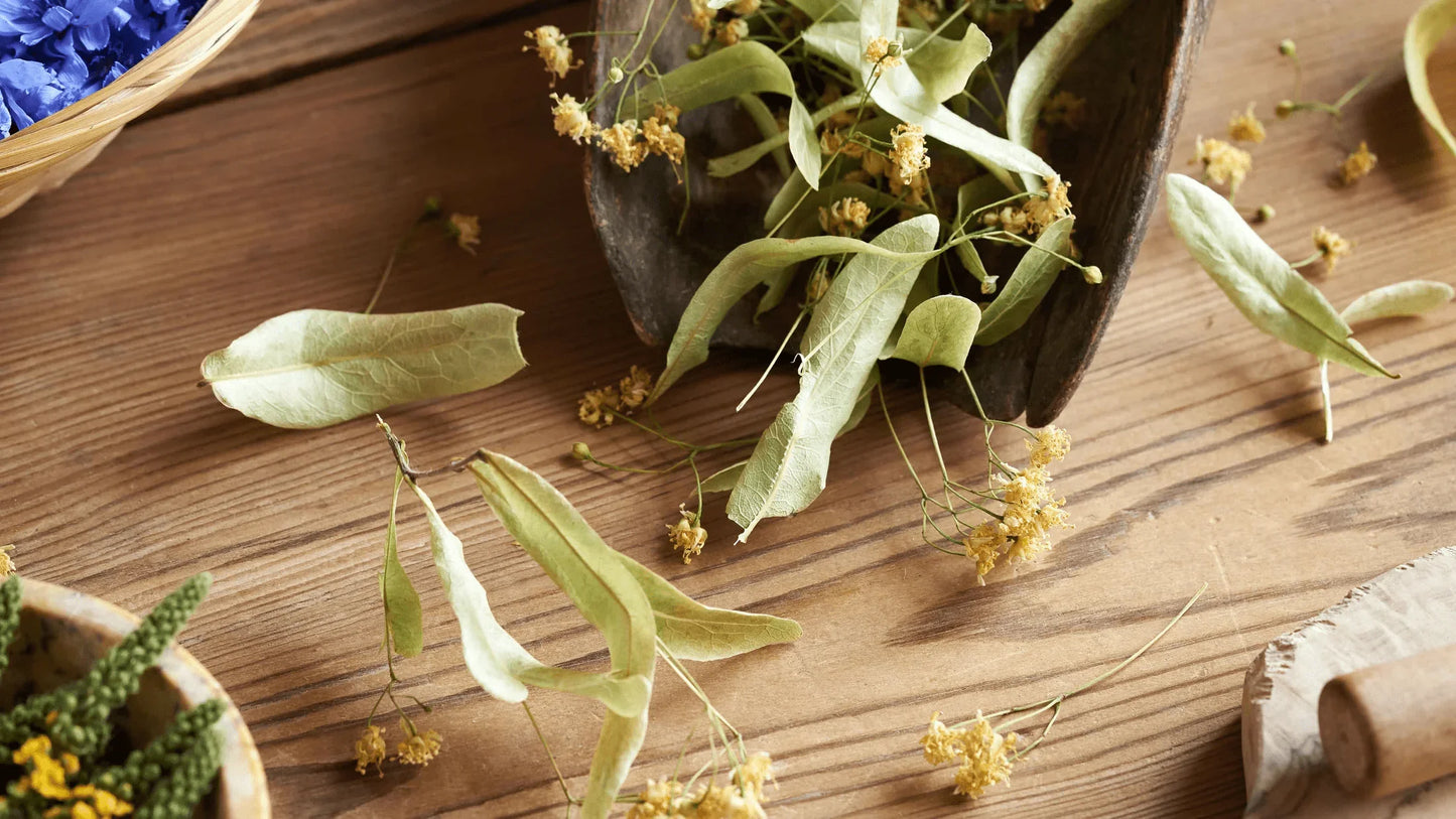 Bitki ve Meyve Çayları