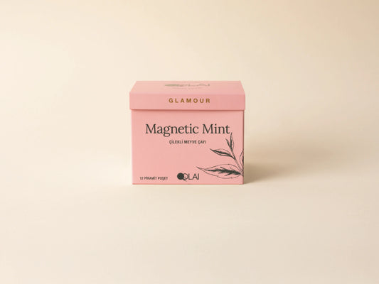 Magnetic Mint Teabag | Çilekli Meyve Çayı