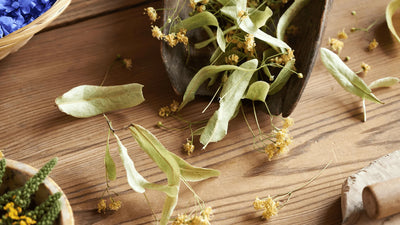 BİTKİ VE MEYVE ÇAYLARI