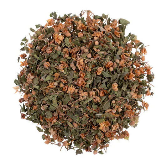 Linden After Dark | Melisalı Bitki Çayı